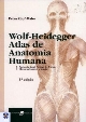Wolf-Heidegger atlas de anatomia humana
